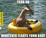 Click image for larger version

Name:	yeah-okay-whatever-floats-your-goat.jpg
Views:	1036
Size:	57.5 KB
ID:	112799