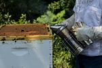Click image for larger version

Name:	honey extraction-11.jpg
Views:	359
Size:	77.6 KB
ID:	116859