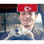 Click image for larger version

Name:	bill-murray-groundhog-day.jpg
Views:	41
Size:	260.4 KB
ID:	117497