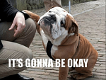 Click image for larger version

Name:	its-gonna-be-okay-14-hilarious-english-bulldog-memes-will-54383914.png
Views:	457
Size:	324.1 KB
ID:	119723