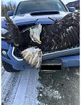 Click image for larger version

Name:	2024 03.07 Eagle Accident.jpg
Views:	903
Size:	101.9 KB
ID:	127237