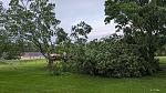 Click image for larger version

Name:	treedown.jpg
Views:	84
Size:	416.1 KB
ID:	127496