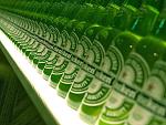 Click image for larger version

Name:	Heinekens lined up.jpg
Views:	211
Size:	117.7 KB
ID:	118878