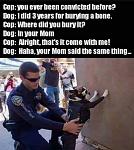 Click image for larger version

Name:	dog.jpg
Views:	316
Size:	33.2 KB
ID:	122589