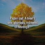 Click image for larger version

Name:	trees revenge meme.jpg
Views:	141
Size:	61.7 KB
ID:	125433